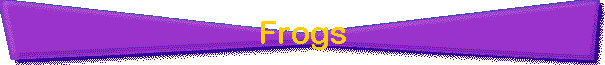 Frogs