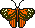 army ant butterfly
